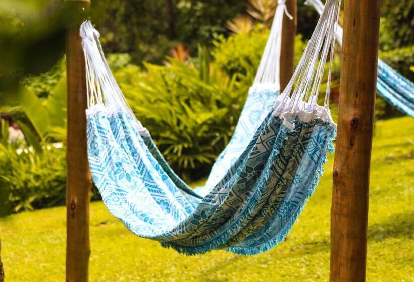 הוסטל Pousada E Bistrô Estância Monte Horebe