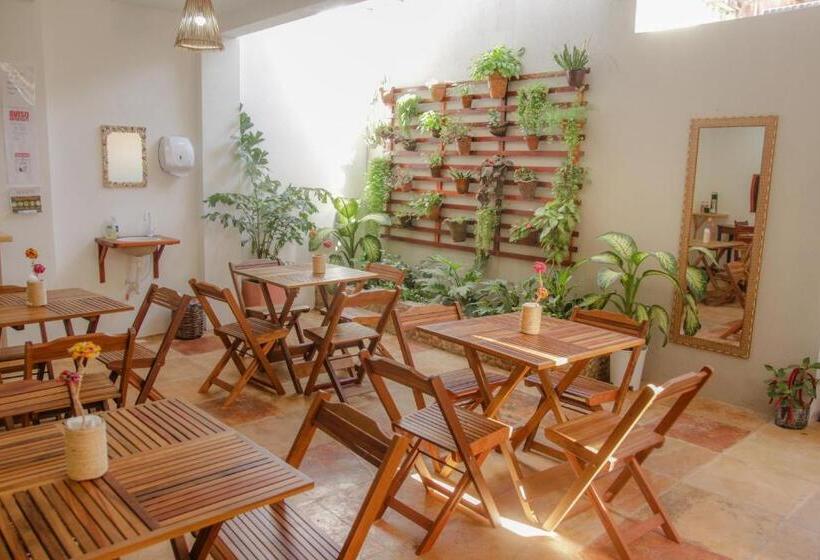 旅馆 Pousada Zé Patinha