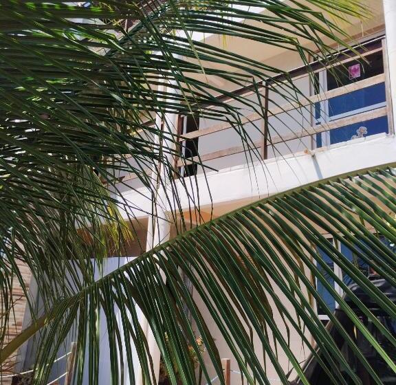 הוסטל Seomarujo Rent A Room Morro Branco
