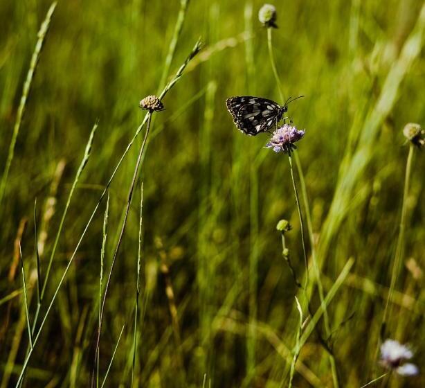 ユースホステル Tumova Koča Na Slavniku