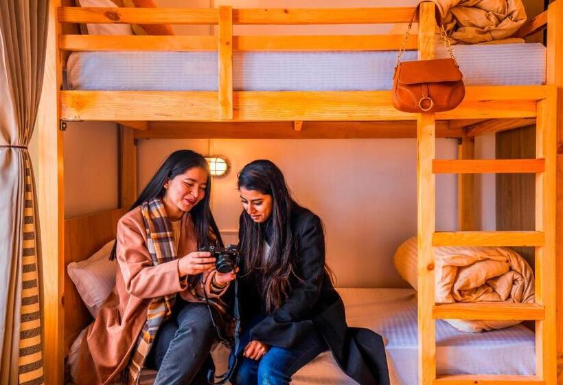 ユースホステル Zostel Sissu