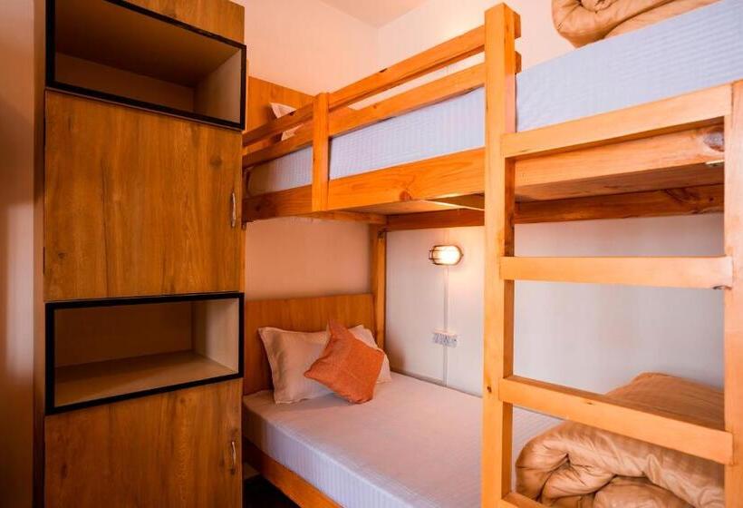 فندق صغير Zostel Sissu