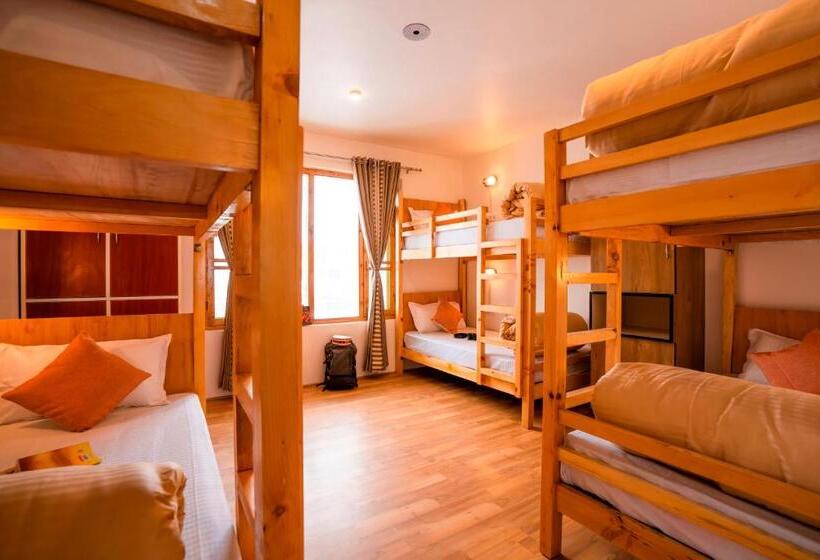 Общежитие Zostel Sissu