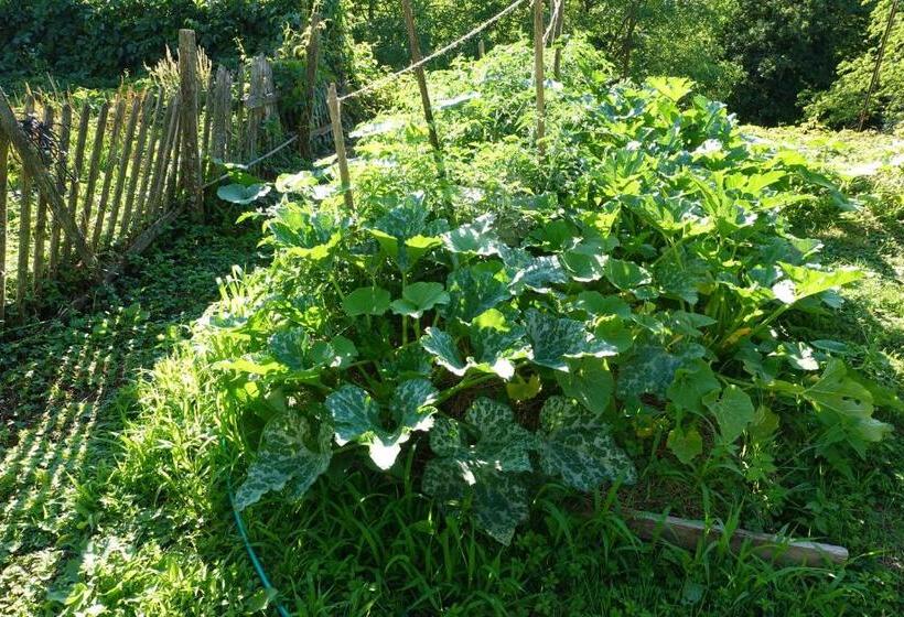 Bed and Breakfast A La Belle Combe