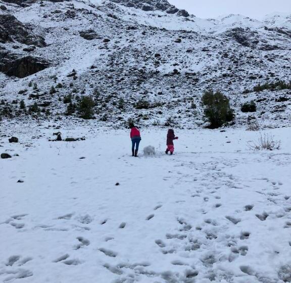 Bed & Breakfast Bienvenido A Campo Alerce