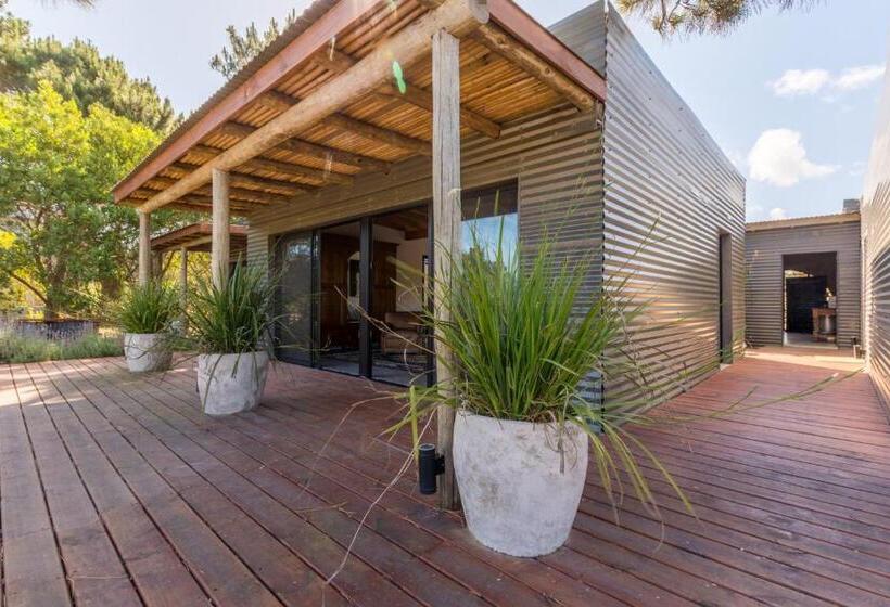 Bed & Breakfast Camino Jose Ignacio