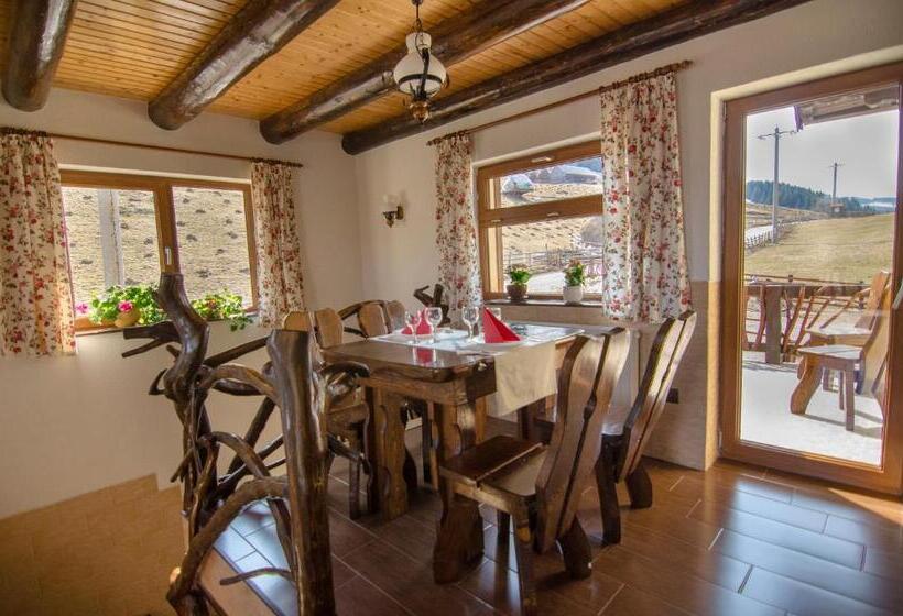 צימר Casa Bălan