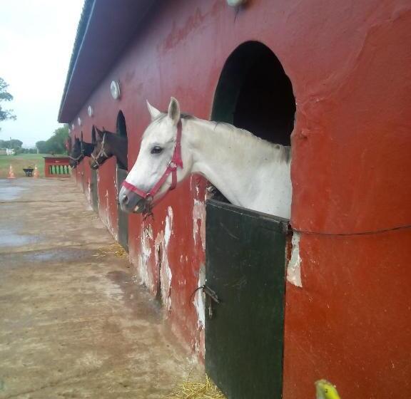 تختخواب و صبحانه Ferme Hippique Chtouka