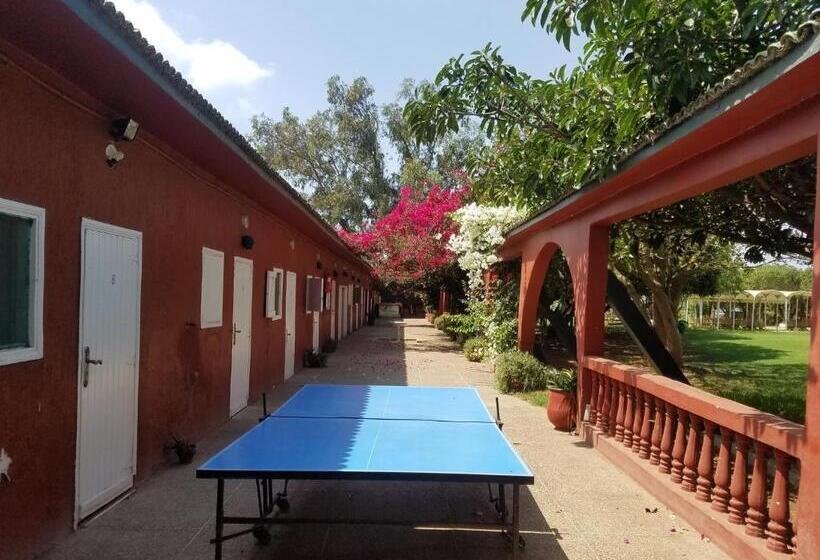 تختخواب و صبحانه Ferme Hippique Chtouka