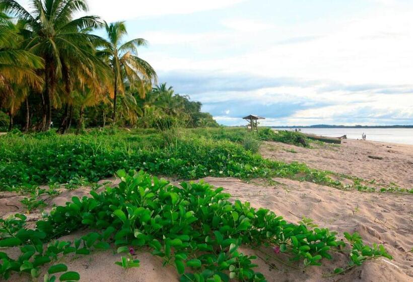 مبيت وإفطار Hostel Toucan