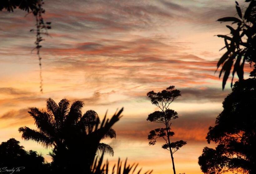 تختخواب و صبحانه Hostel Toucan