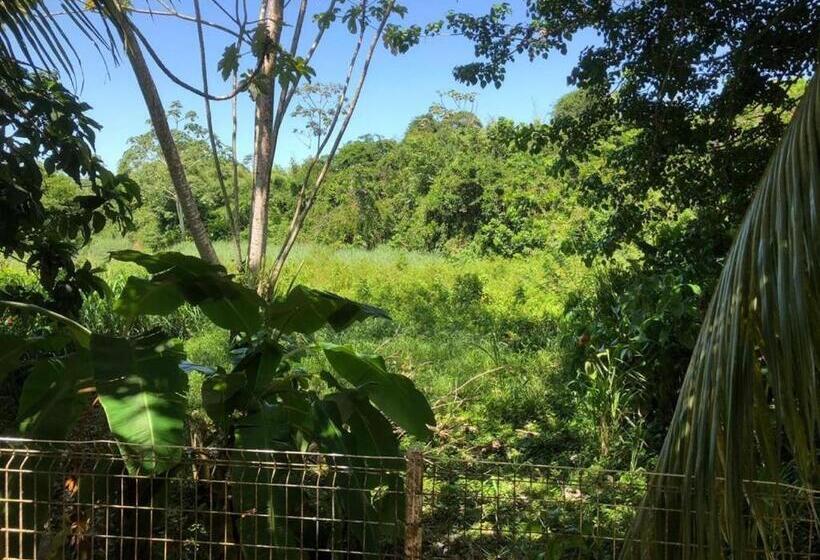 مبيت وإفطار Hostel Toucan