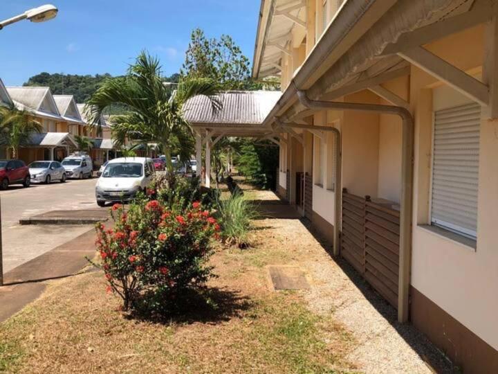 مبيت وإفطار Hostel Toucan