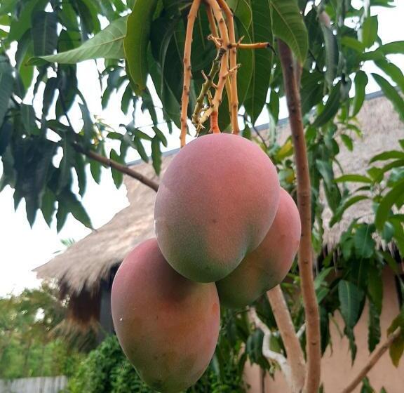 مبيت وإفطار Jeju Cottages