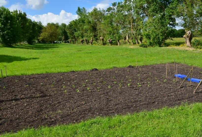 住宿加早餐 La Maison Des Hérons