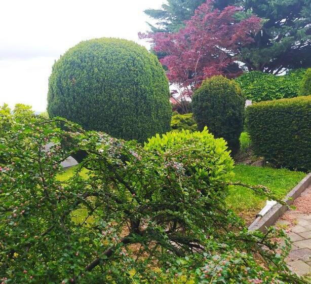 ベッドアンドブレックファースト Misleny Home