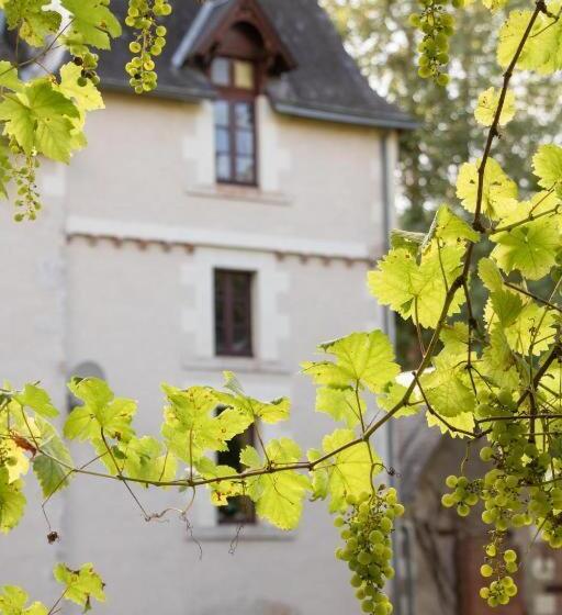 ベッドアンドブレックファースト Gite Du Meunier, Moulin De Vineuil, 4ch, 2sdb