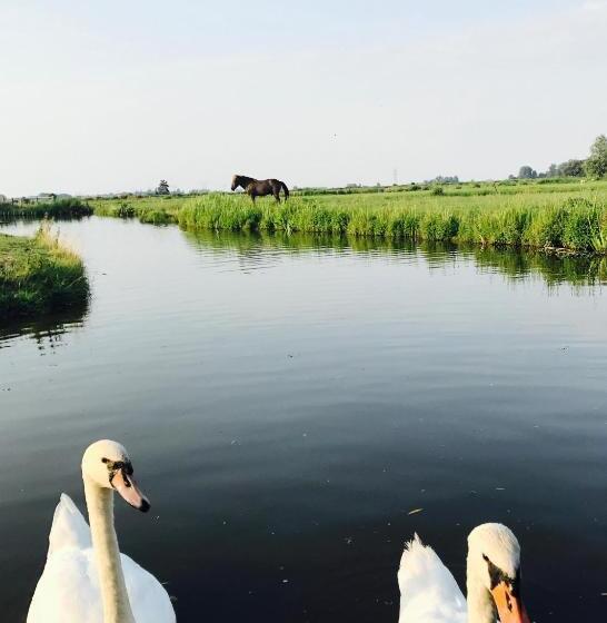 ベッドアンドブレックファースト Oude Postkantoor De Rijp