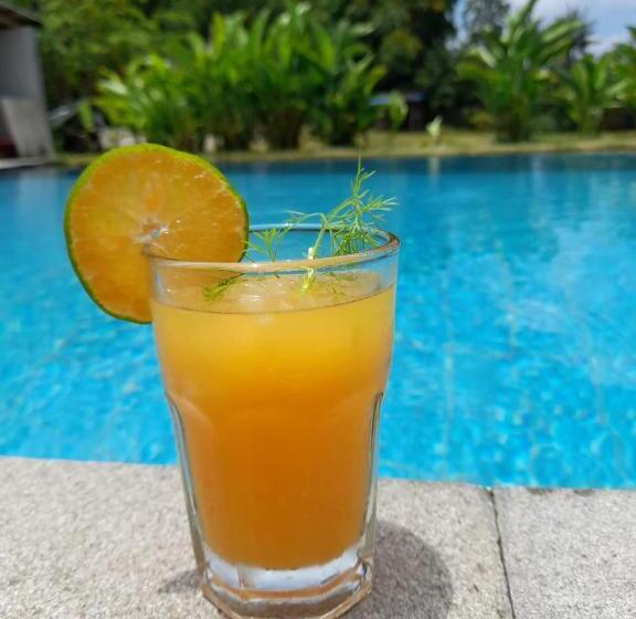 住宿加早餐  Tree Tops Mandalika