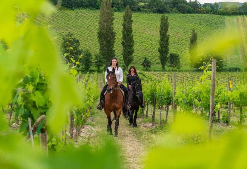 צימר Villa Benefizio