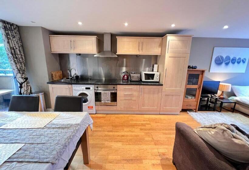 Great River Thames View Entire Apartment In The Most Central London