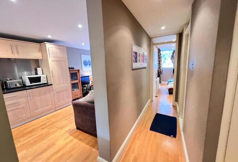 Great River Thames View Entire Apartment In The Most Central London