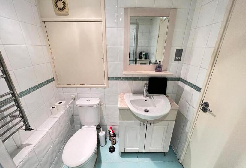 Great River Thames View Entire Apartment In The Most Central London