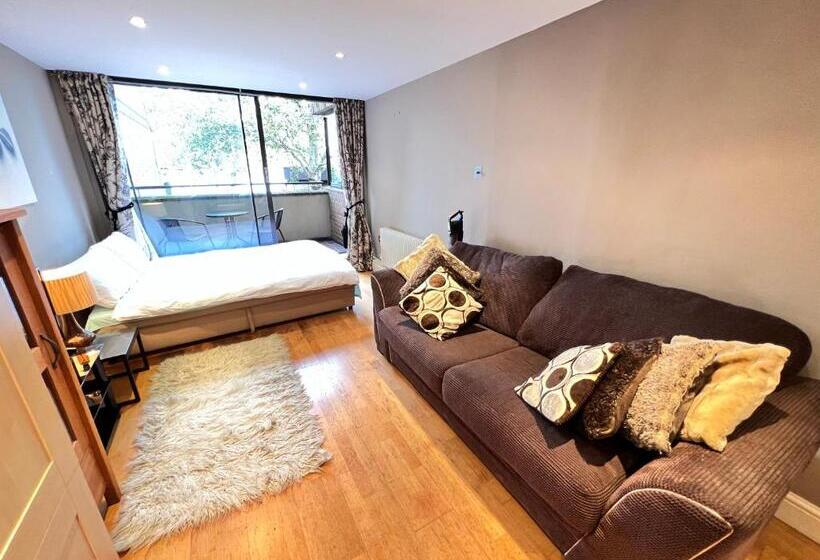 Great River Thames View Entire Apartment In The Most Central London