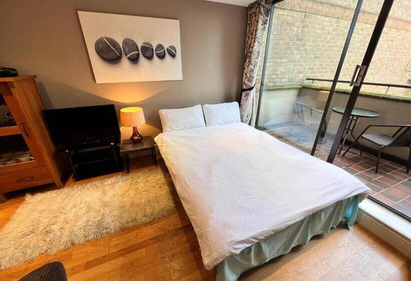 Great River Thames View Entire Apartment In The Most Central London