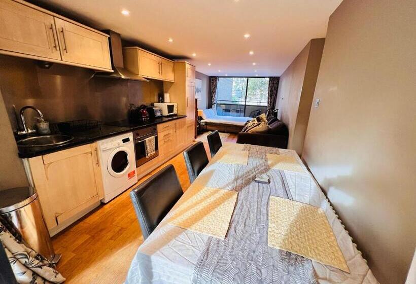 Great River Thames View Entire Apartment In The Most Central London