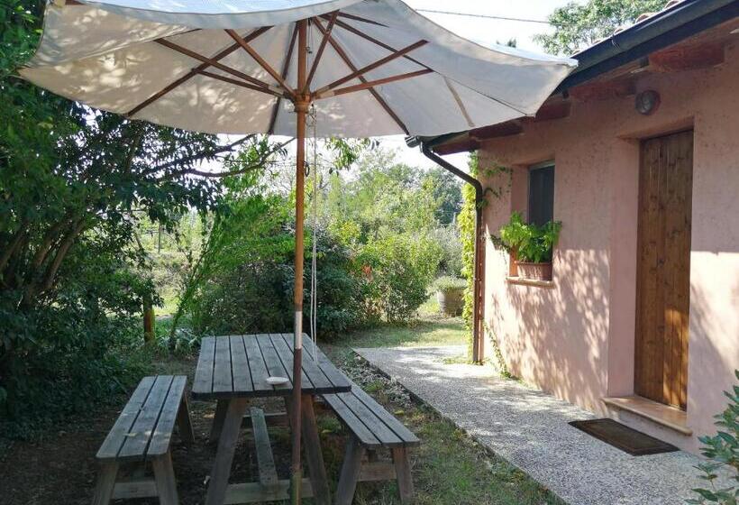 ホテル Agriturismo Il Palazzo