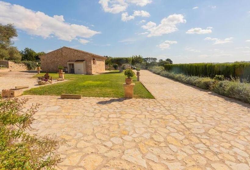 Отель Agroturismo Son Calo