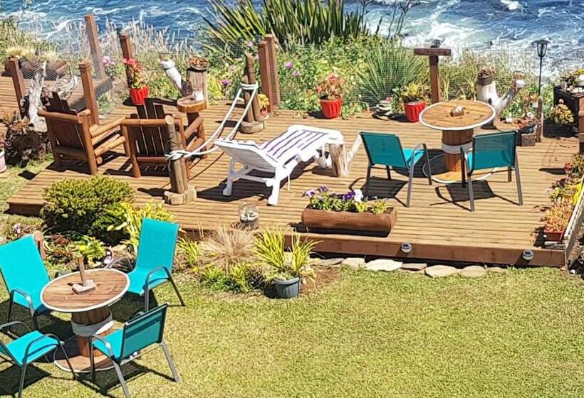 ホテル Cabańas De La Ochi