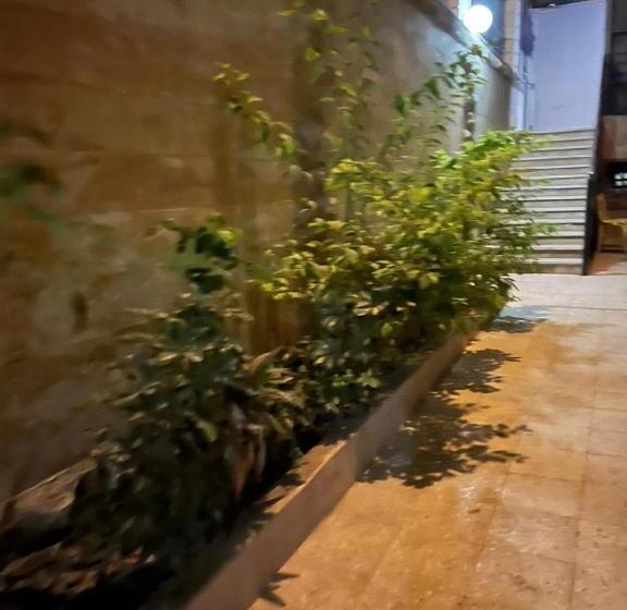 Отель Cairo Plaza Guest House