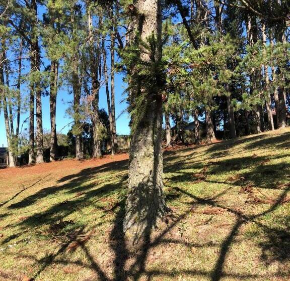 Отель Casa Da Paz Hostel & Suítes