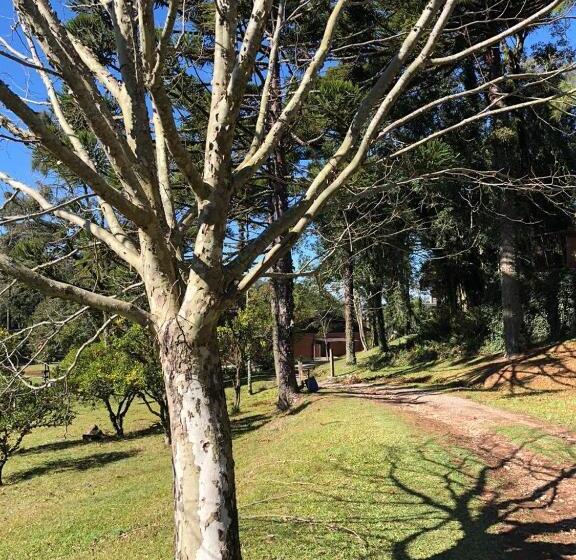 Отель Casa Da Paz Hostel & Suítes