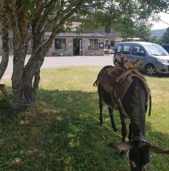 酒店 Chalet Du Mont Lozère