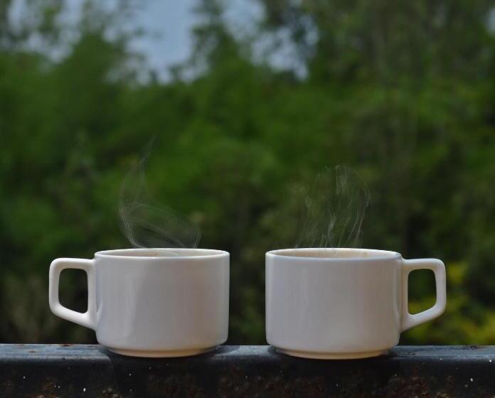 فندق Coorg Maharaja Resort And Spa