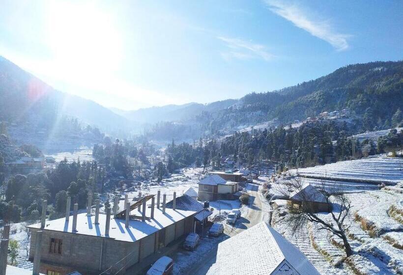 ホテル Cozy Haven