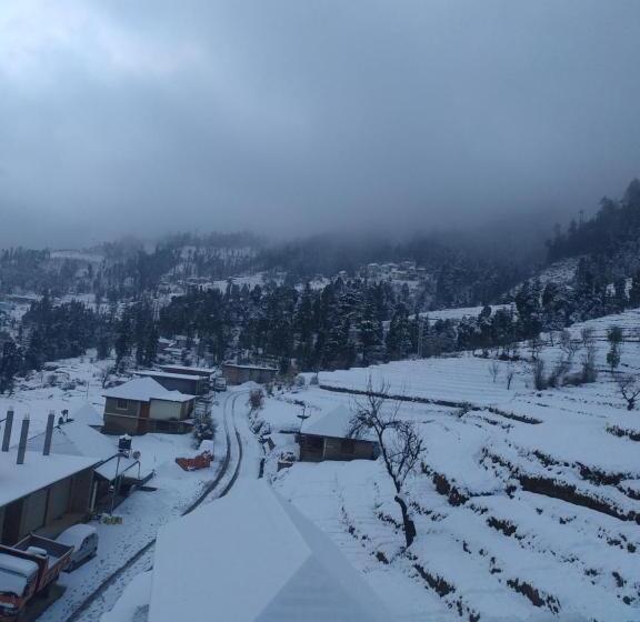 ホテル Cozy Haven