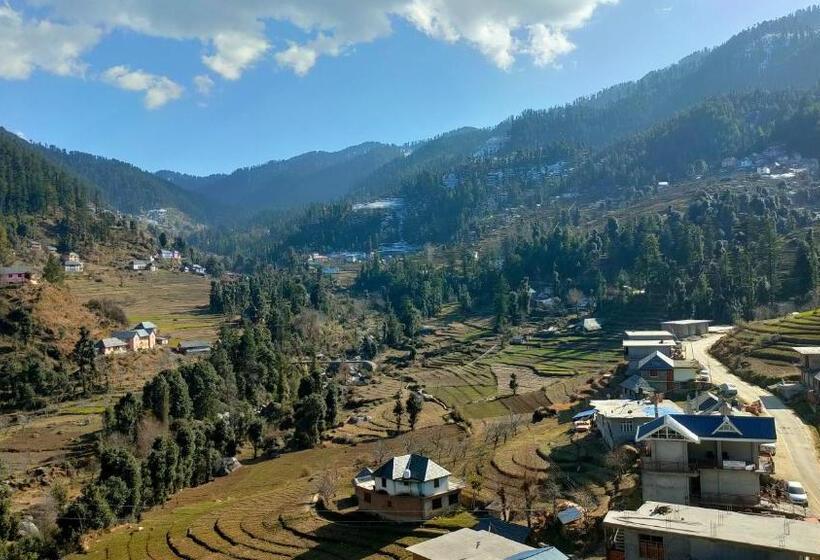 ホテル Cozy Haven