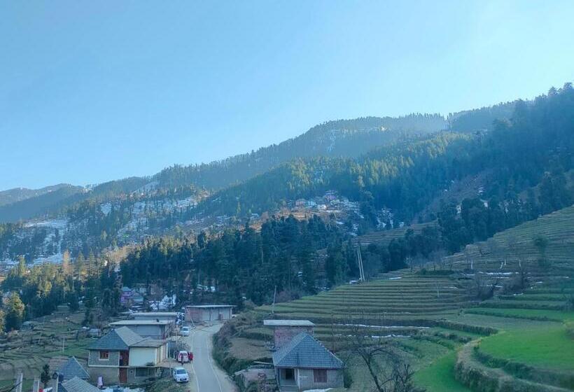 ホテル Cozy Haven