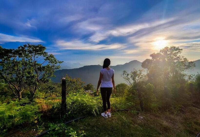 בית מלון כפרי El Portal De La Cintana