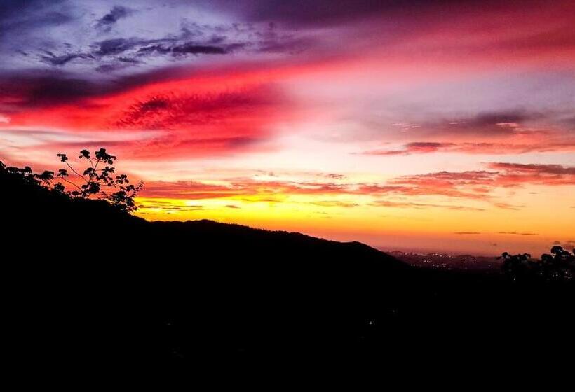 בית מלון כפרי El Portal De La Cintana