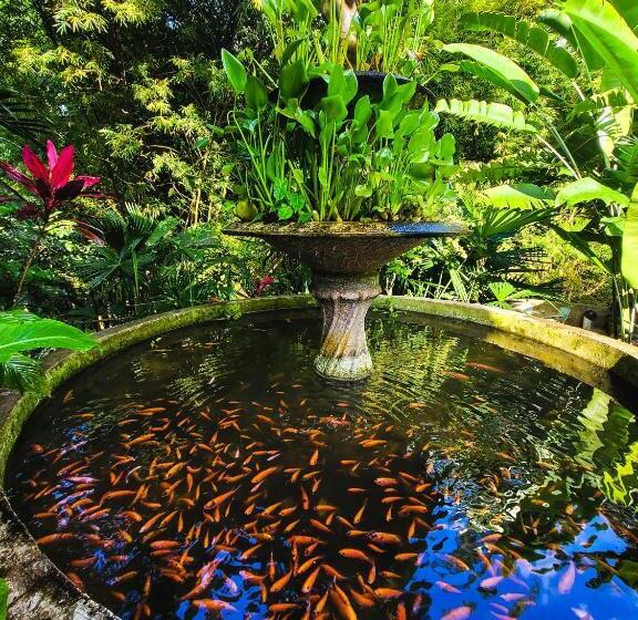 בית מלון כפרי El Portal De La Cintana