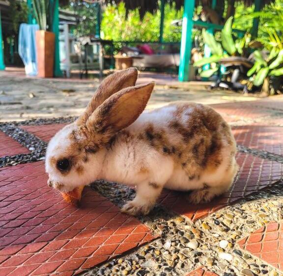 בית מלון כפרי El Portal De La Cintana