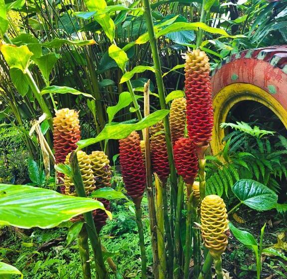 בית מלון כפרי El Portal De La Cintana