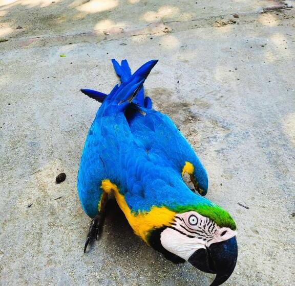 בית מלון כפרי El Portal De La Cintana