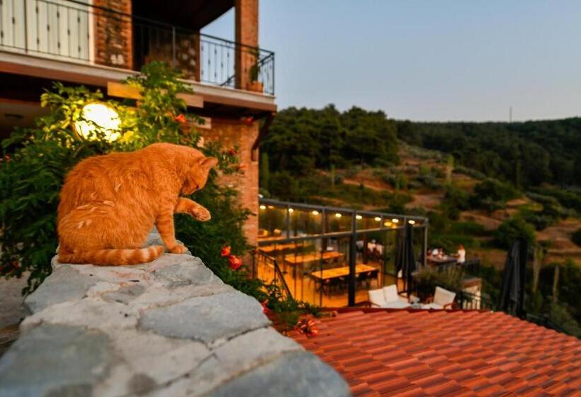 酒店 Ephesus Retreat