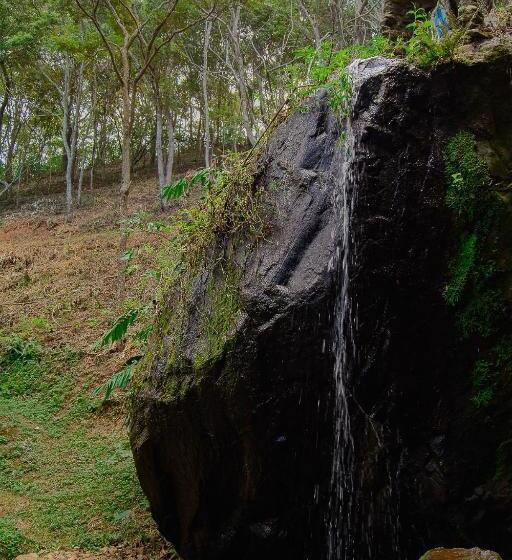 ホテル Estancia Santa Rita